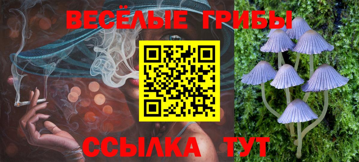 Галлюциногенные грибы Psilocybe Верхняя Салда